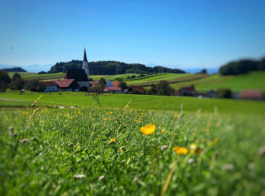 Flugangebote nach Frankfurt am Main